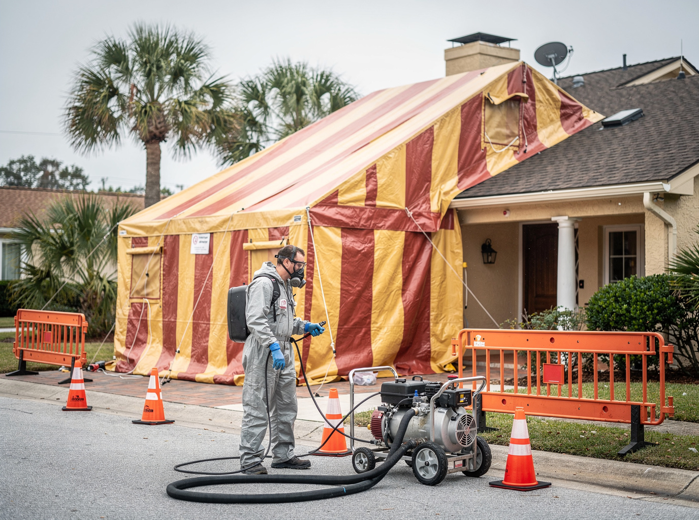 Pest Control in Dunnellon, FL